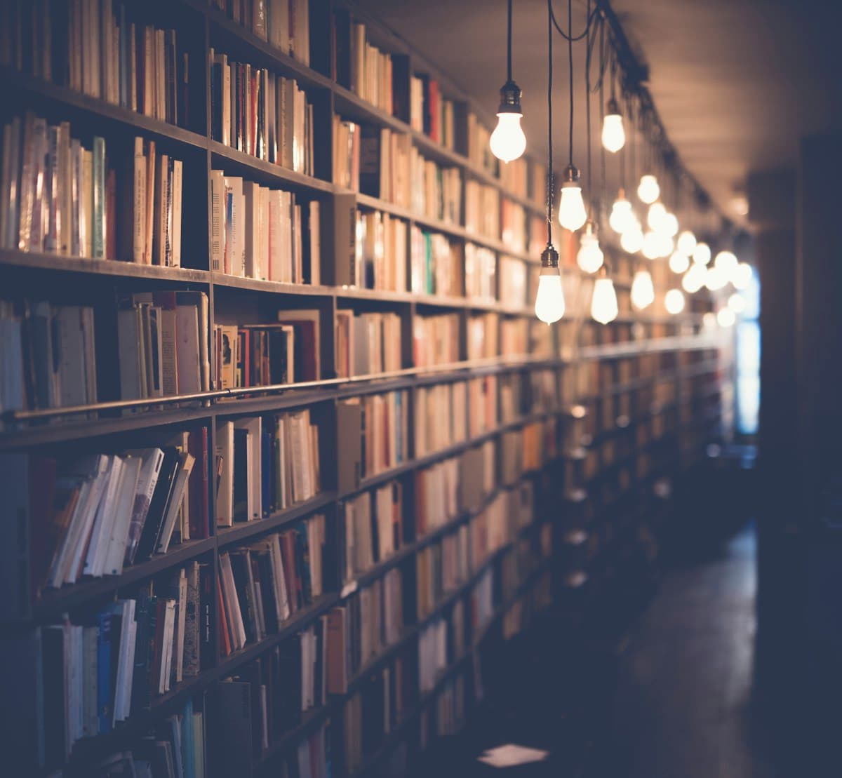 Kệ sách trong thư viện — cấu trúc đề thi đọc Lesen B1 Goethe
